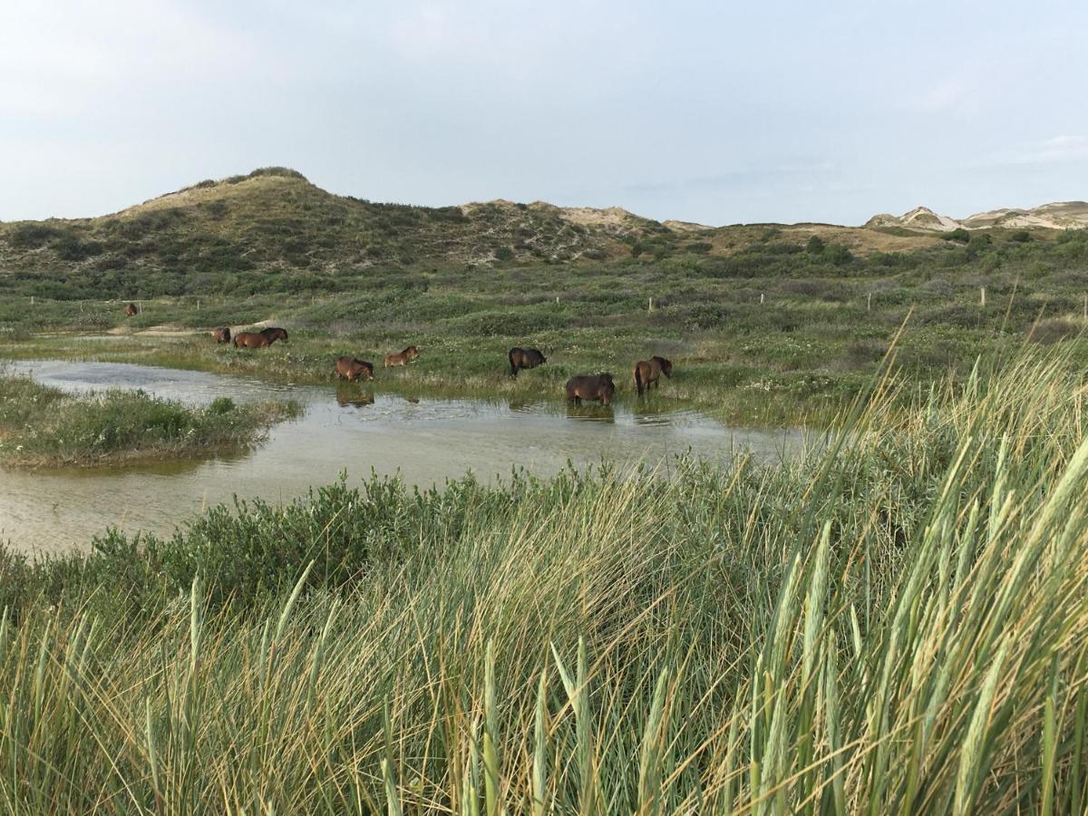 De Duinlopers - Studio Appt Bries - Strand, Duinen En Nabij Cultuur Steden カストリクム エクステリア 写真