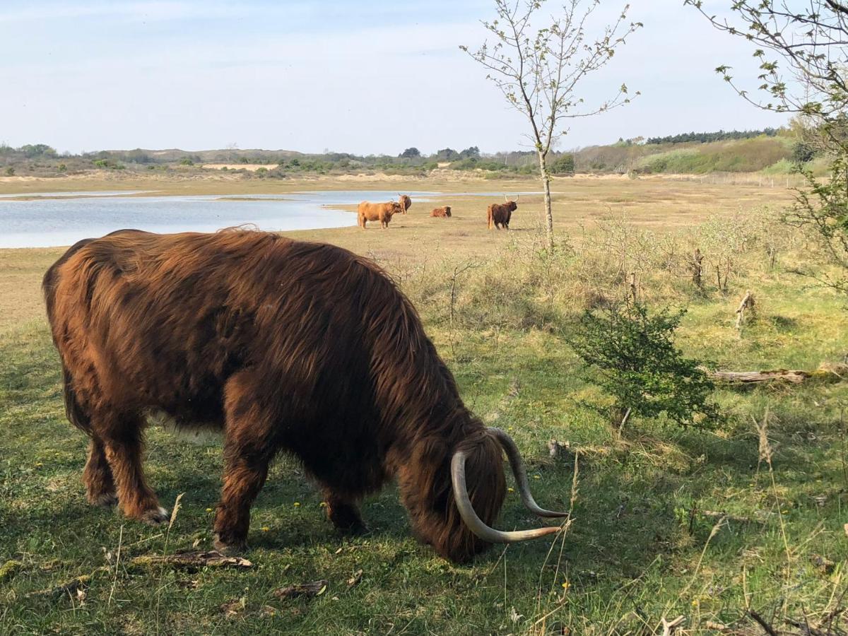 De Duinlopers - Studio Appt Bries - Strand, Duinen En Nabij Cultuur Steden カストリクム エクステリア 写真