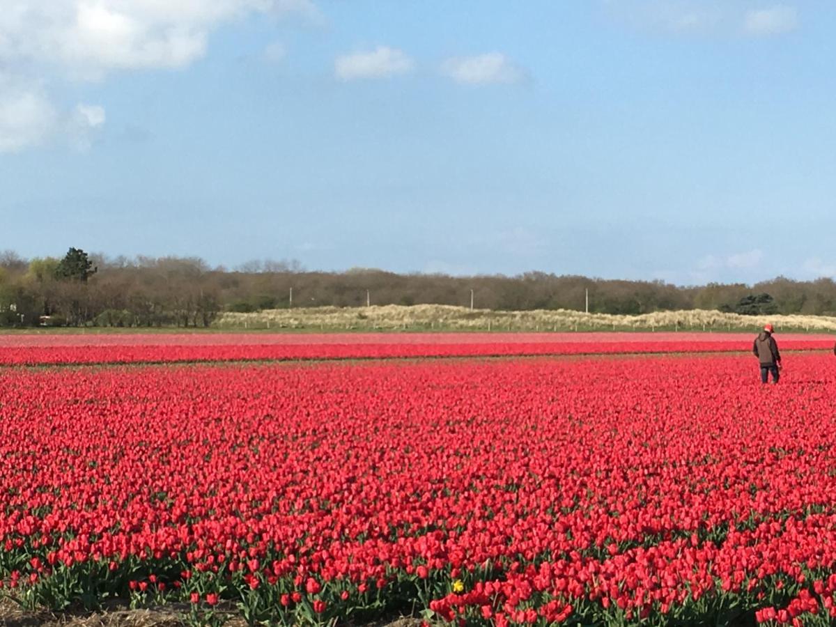 De Duinlopers - Studio Appt Bries - Strand, Duinen En Nabij Cultuur Steden カストリクム エクステリア 写真