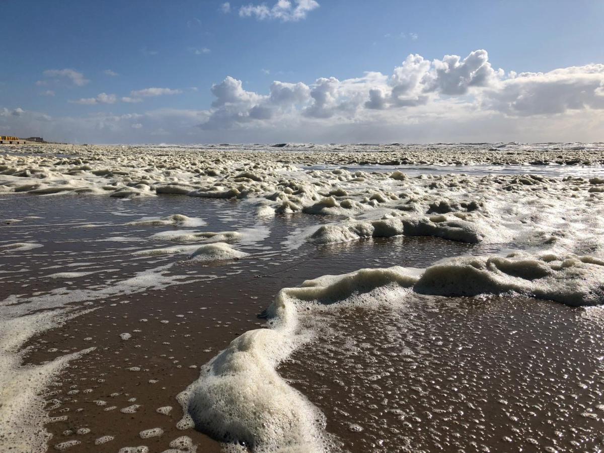 De Duinlopers - Studio Appt Bries - Strand, Duinen En Nabij Cultuur Steden カストリクム エクステリア 写真